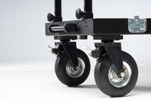 Load image into Gallery viewer, PONY cart